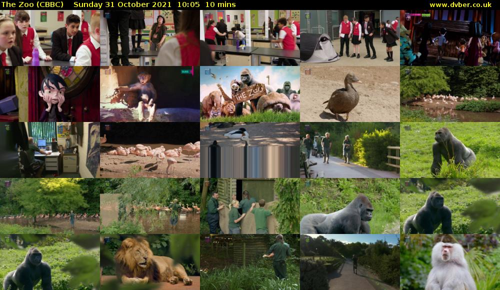 The Zoo (CBBC) Sunday 31 October 2021 10:05 - 10:15