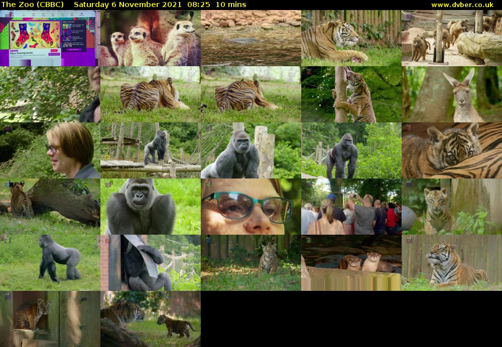 The Zoo (CBBC) Saturday 6 November 2021 08:25 - 08:35