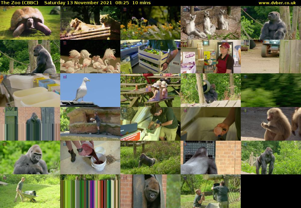 The Zoo (CBBC) Saturday 13 November 2021 08:25 - 08:35