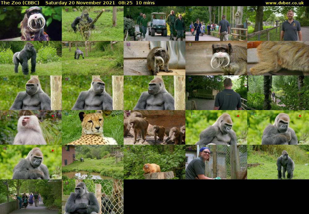 The Zoo (CBBC) Saturday 20 November 2021 08:25 - 08:35