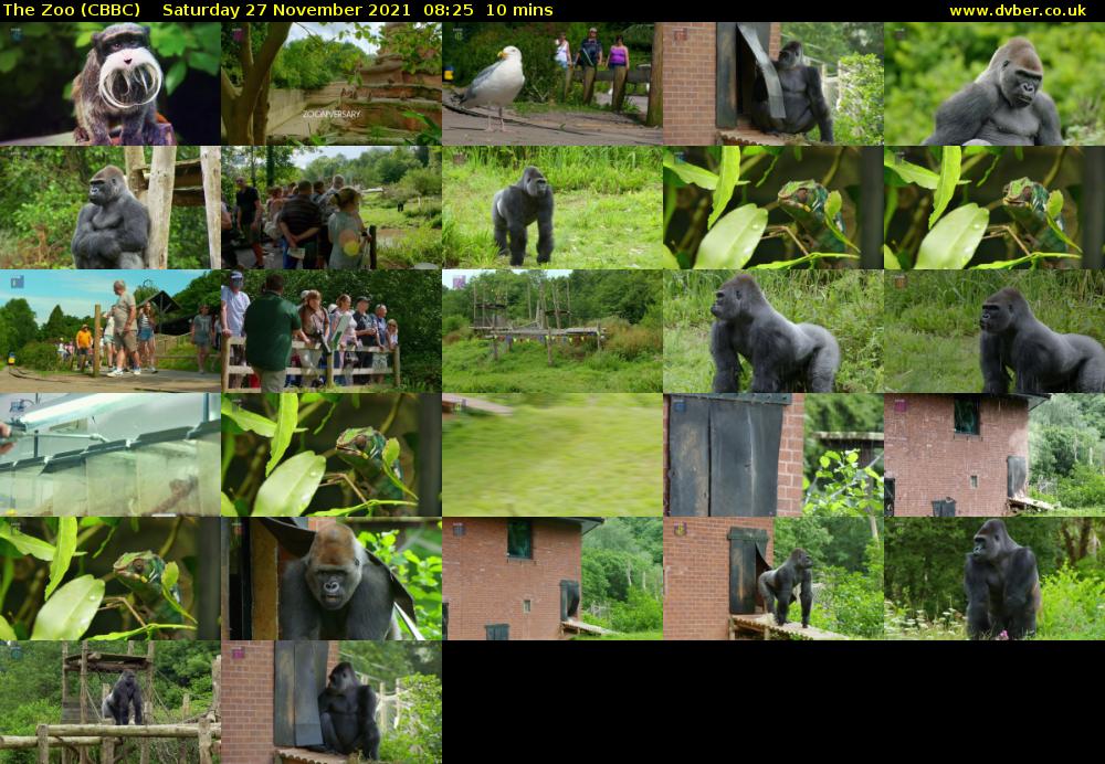 The Zoo (CBBC) Saturday 27 November 2021 08:25 - 08:35