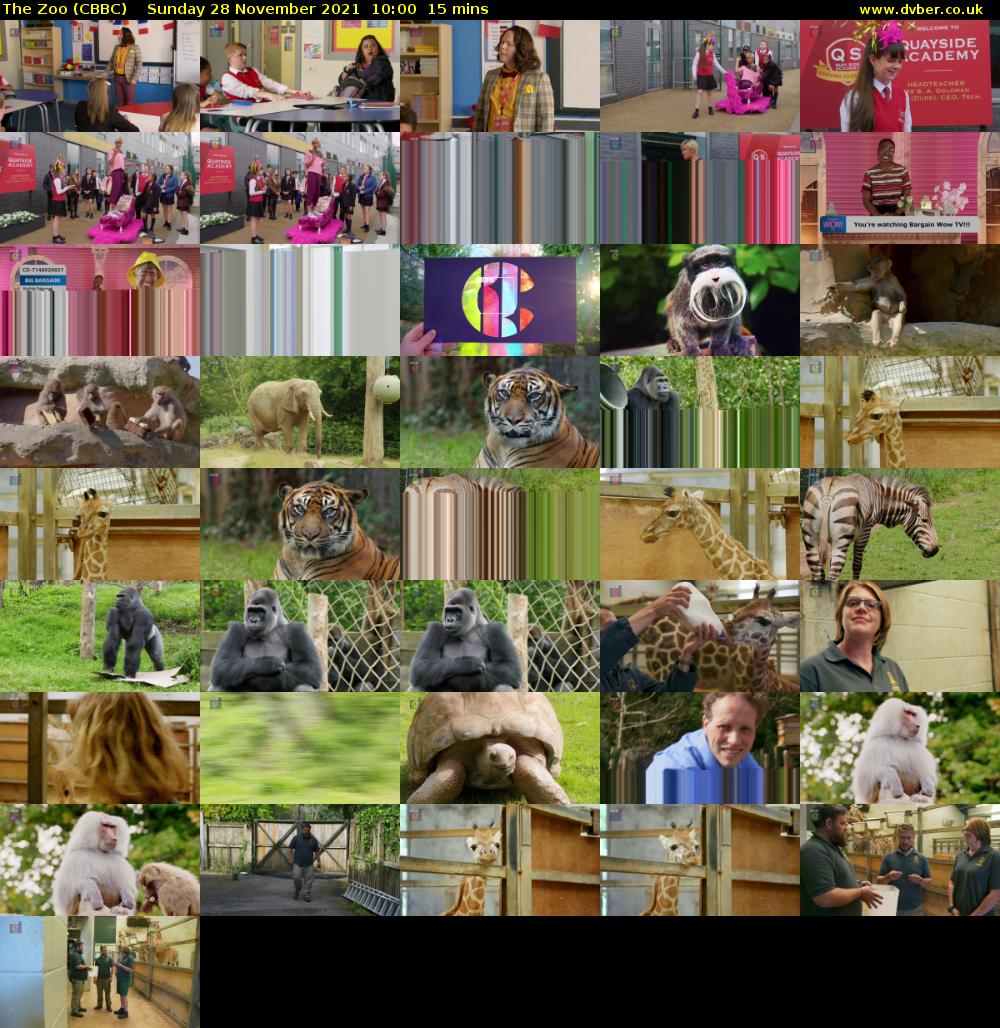 The Zoo (CBBC) Sunday 28 November 2021 10:00 - 10:15