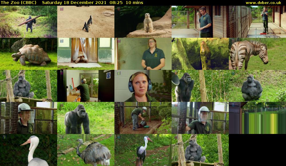 The Zoo (CBBC) Saturday 18 December 2021 08:25 - 08:35