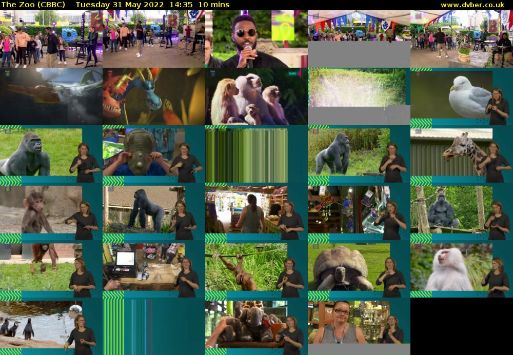 The Zoo (CBBC) Tuesday 31 May 2022 14:35 - 14:45