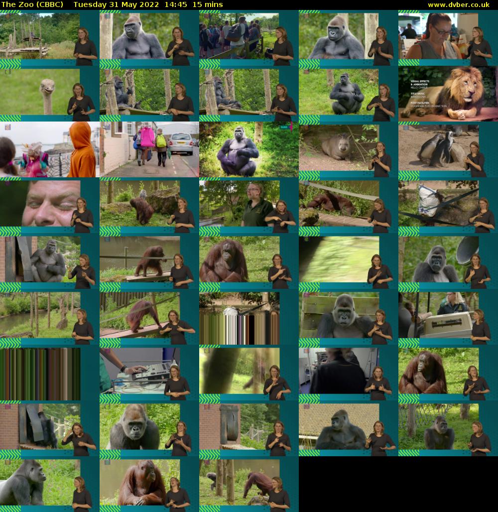 The Zoo (CBBC) Tuesday 31 May 2022 14:45 - 15:00