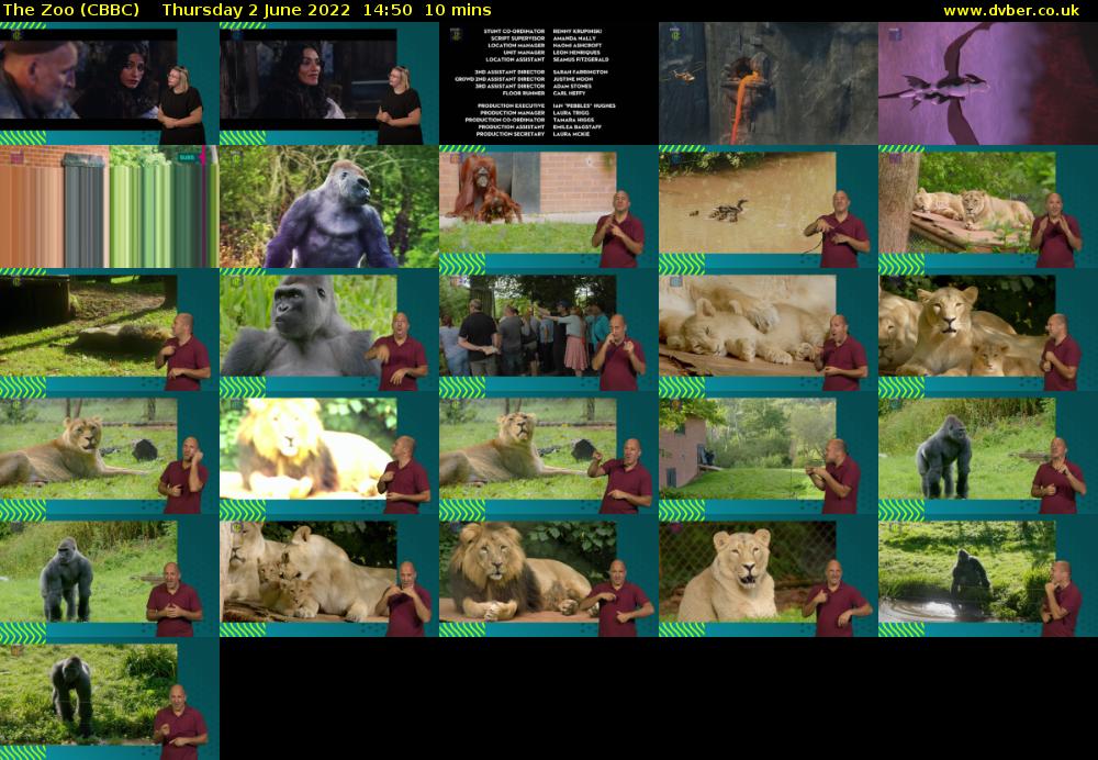 The Zoo (CBBC) Thursday 2 June 2022 14:50 - 15:00