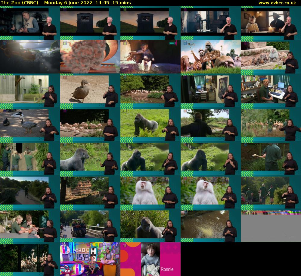 The Zoo (CBBC) Monday 6 June 2022 14:45 - 15:00