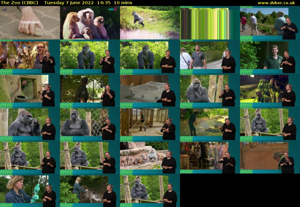 The Zoo (CBBC) Tuesday 7 June 2022 14:35 - 14:45