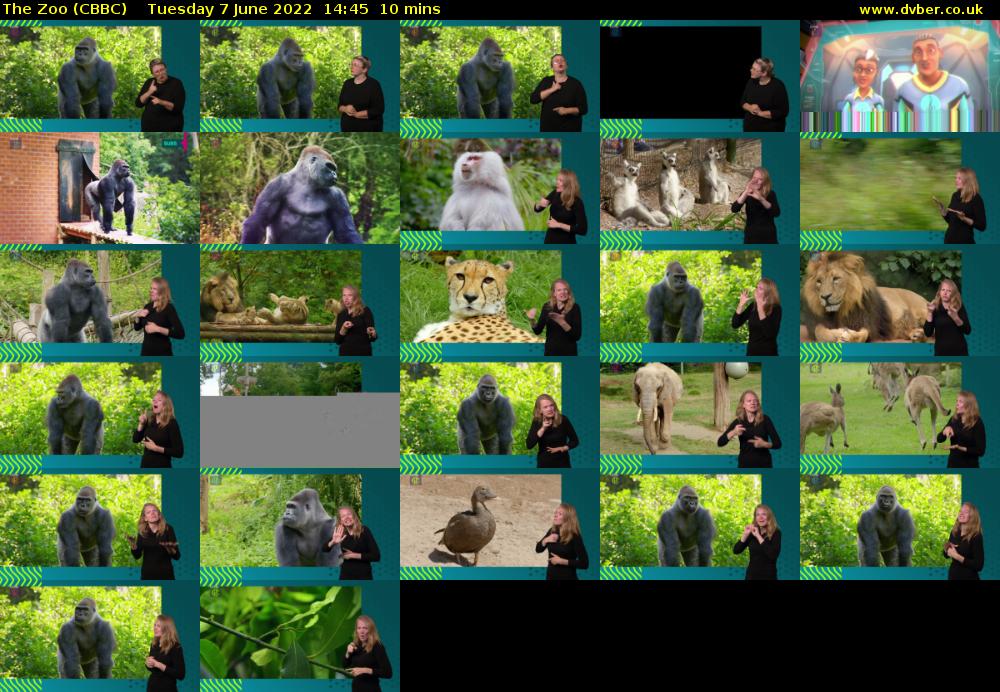 The Zoo (CBBC) Tuesday 7 June 2022 14:45 - 14:55