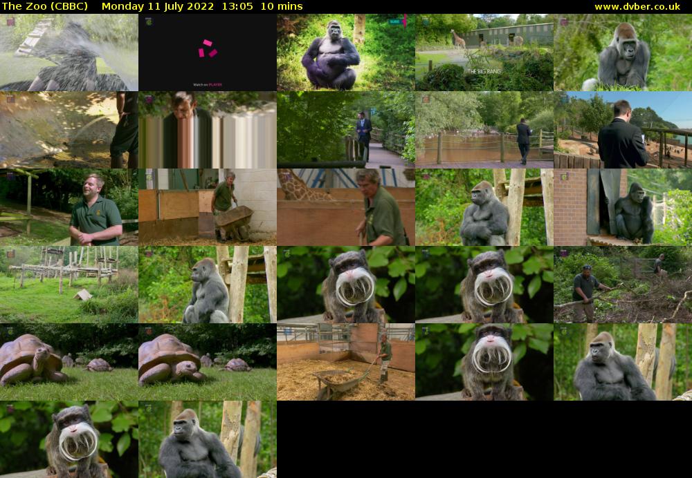 The Zoo (CBBC) Monday 11 July 2022 13:05 - 13:15