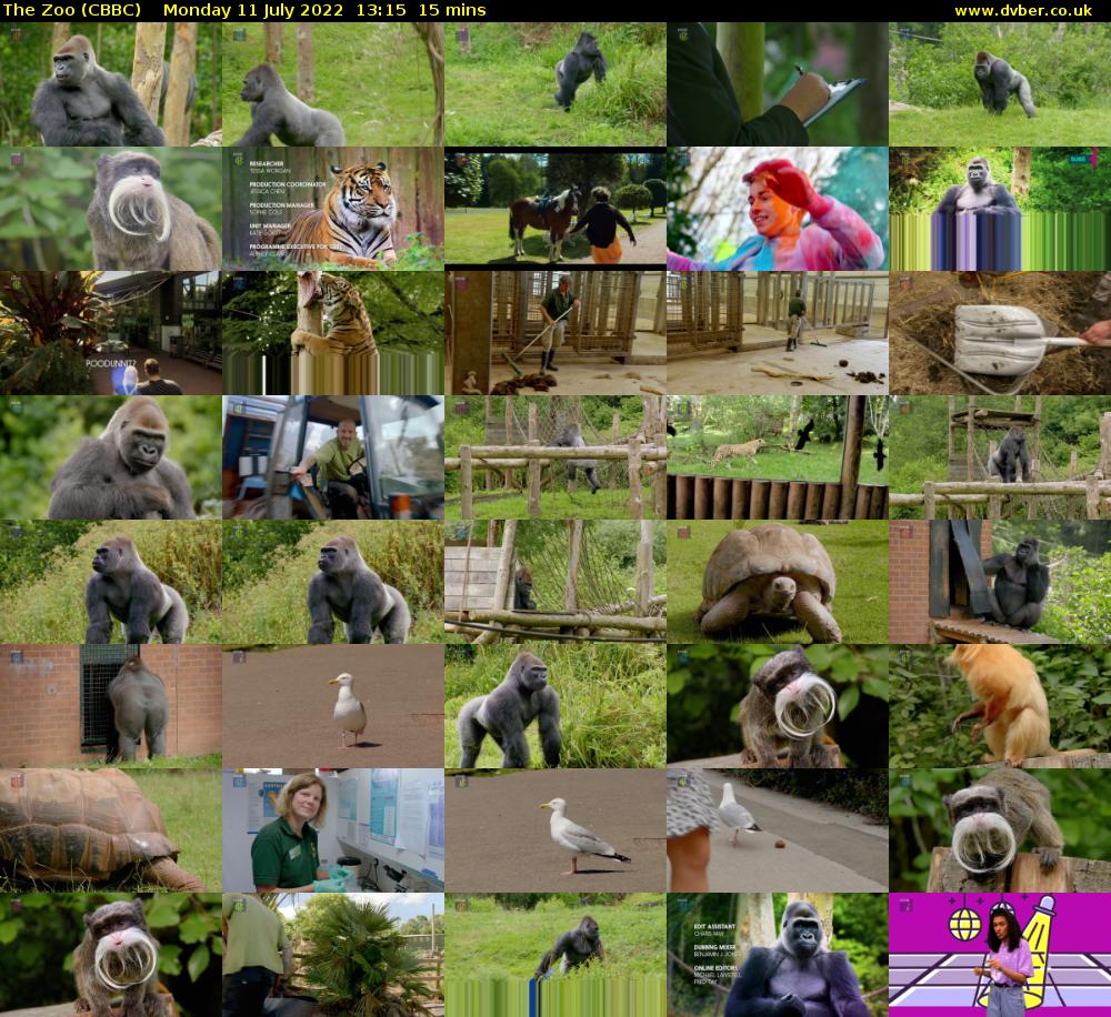 The Zoo (CBBC) Monday 11 July 2022 13:15 - 13:30