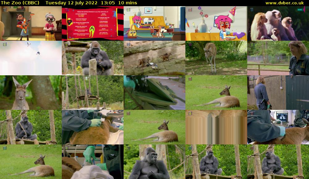 The Zoo (CBBC) Tuesday 12 July 2022 13:05 - 13:15