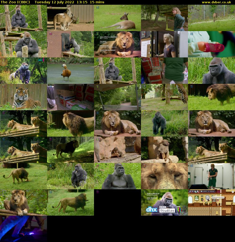 The Zoo (CBBC) Tuesday 12 July 2022 13:15 - 13:30
