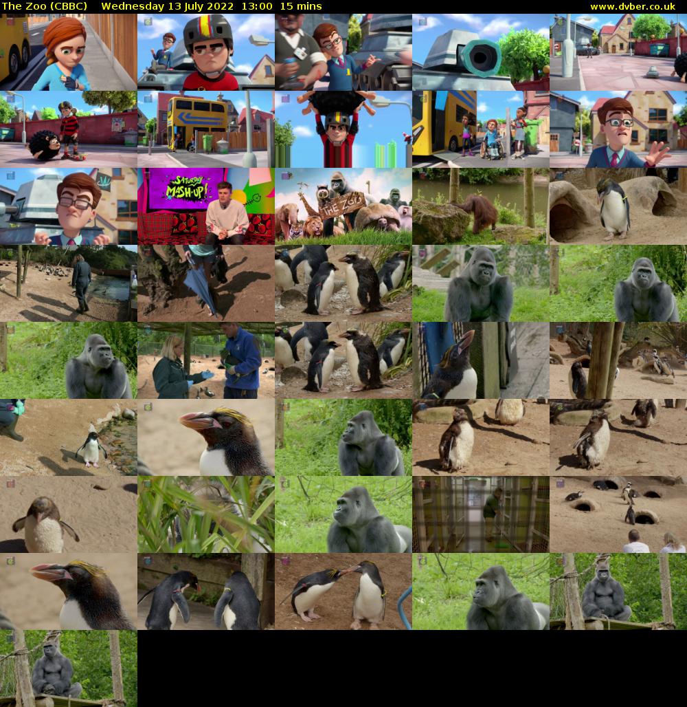 The Zoo (CBBC) Wednesday 13 July 2022 13:00 - 13:15