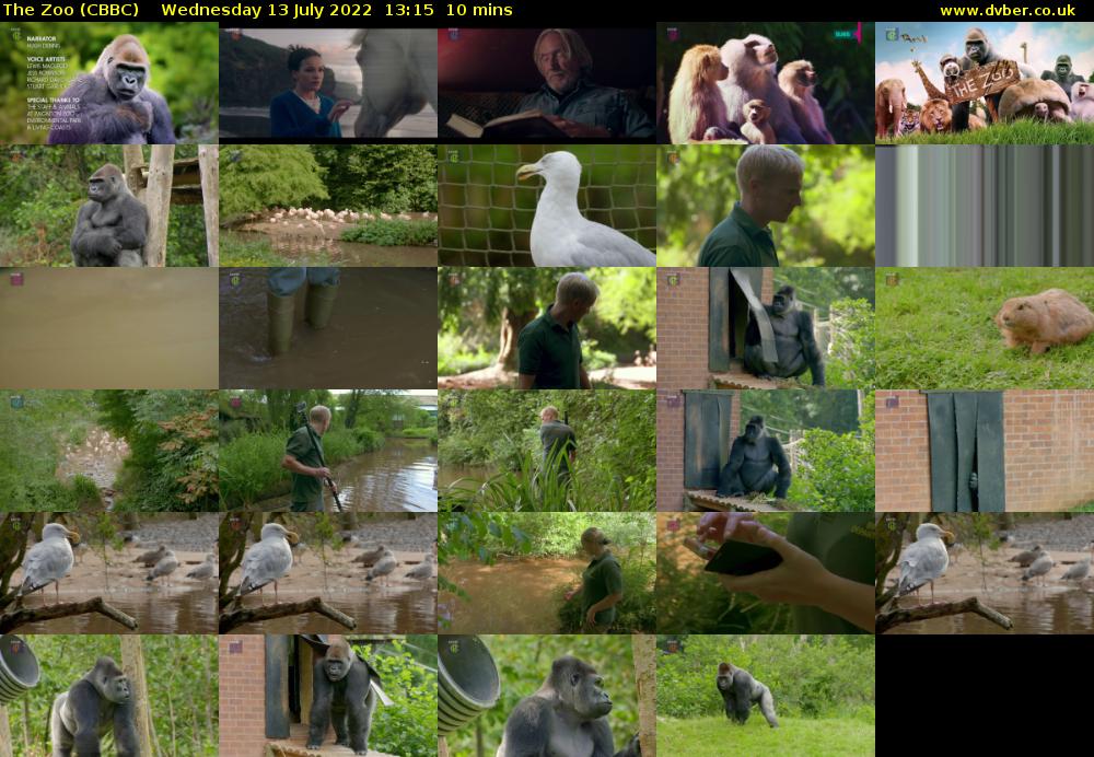 The Zoo (CBBC) Wednesday 13 July 2022 13:15 - 13:25