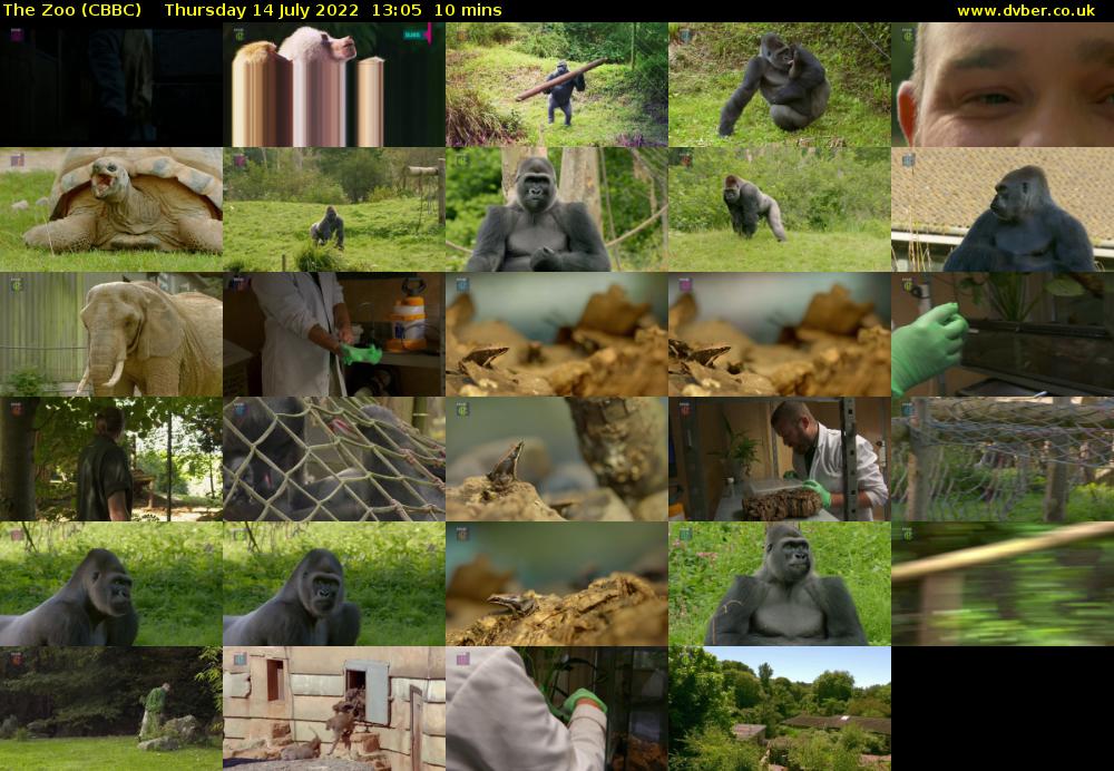 The Zoo (CBBC) Thursday 14 July 2022 13:05 - 13:15