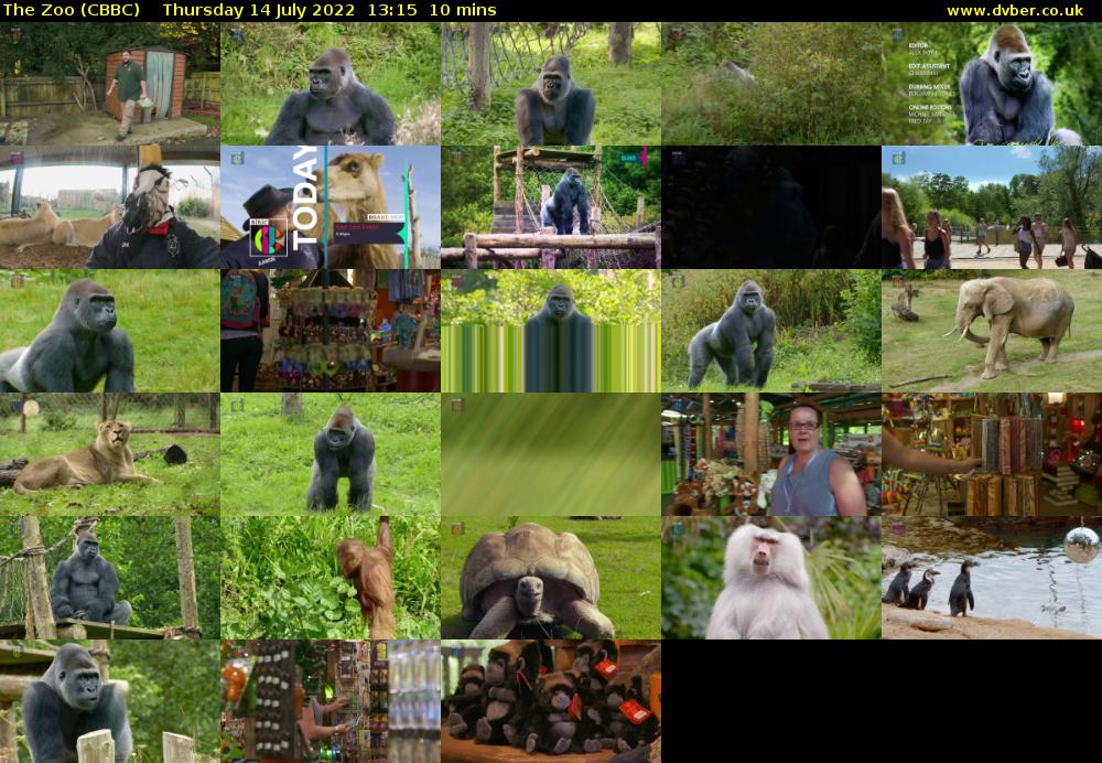 The Zoo (CBBC) Thursday 14 July 2022 13:15 - 13:25