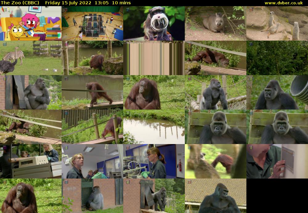 The Zoo (CBBC) Friday 15 July 2022 13:05 - 13:15