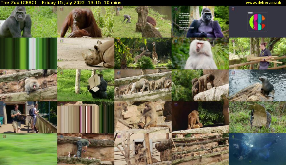 The Zoo (CBBC) Friday 15 July 2022 13:15 - 13:25