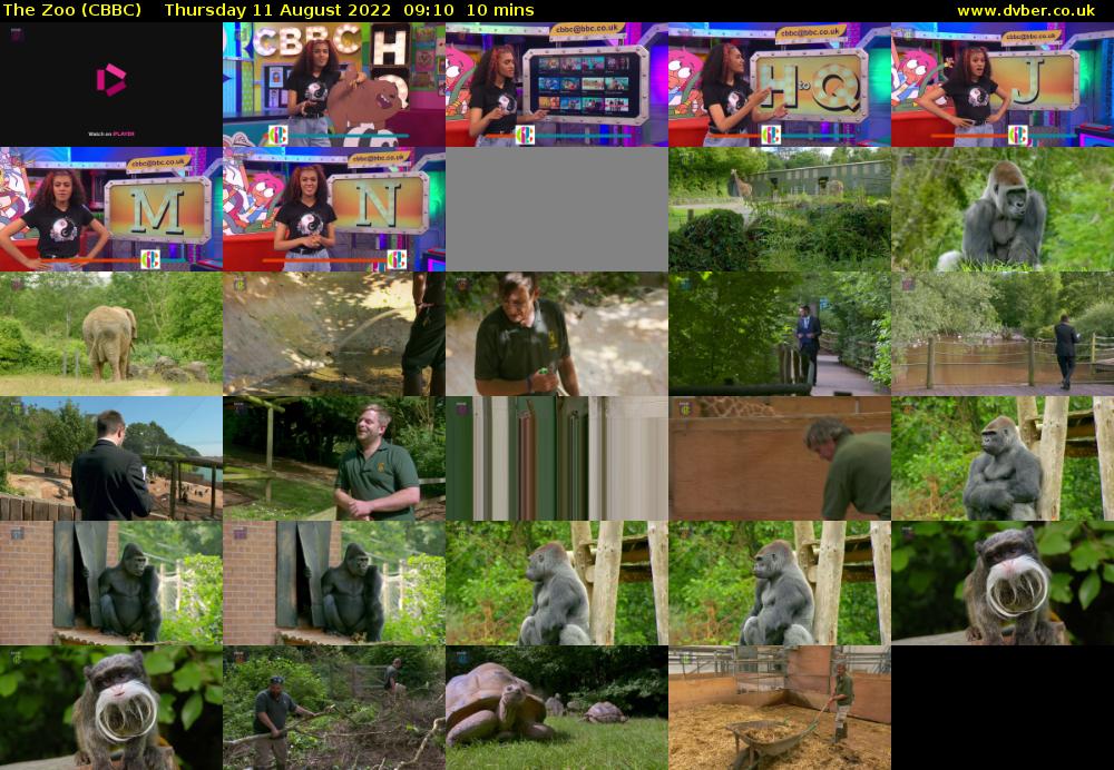 The Zoo (CBBC) Thursday 11 August 2022 09:10 - 09:20