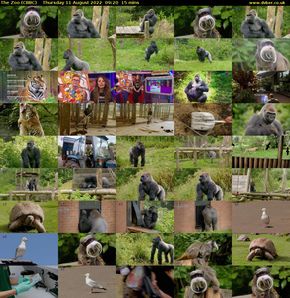 The Zoo (CBBC) Thursday 11 August 2022 09:20 - 09:35