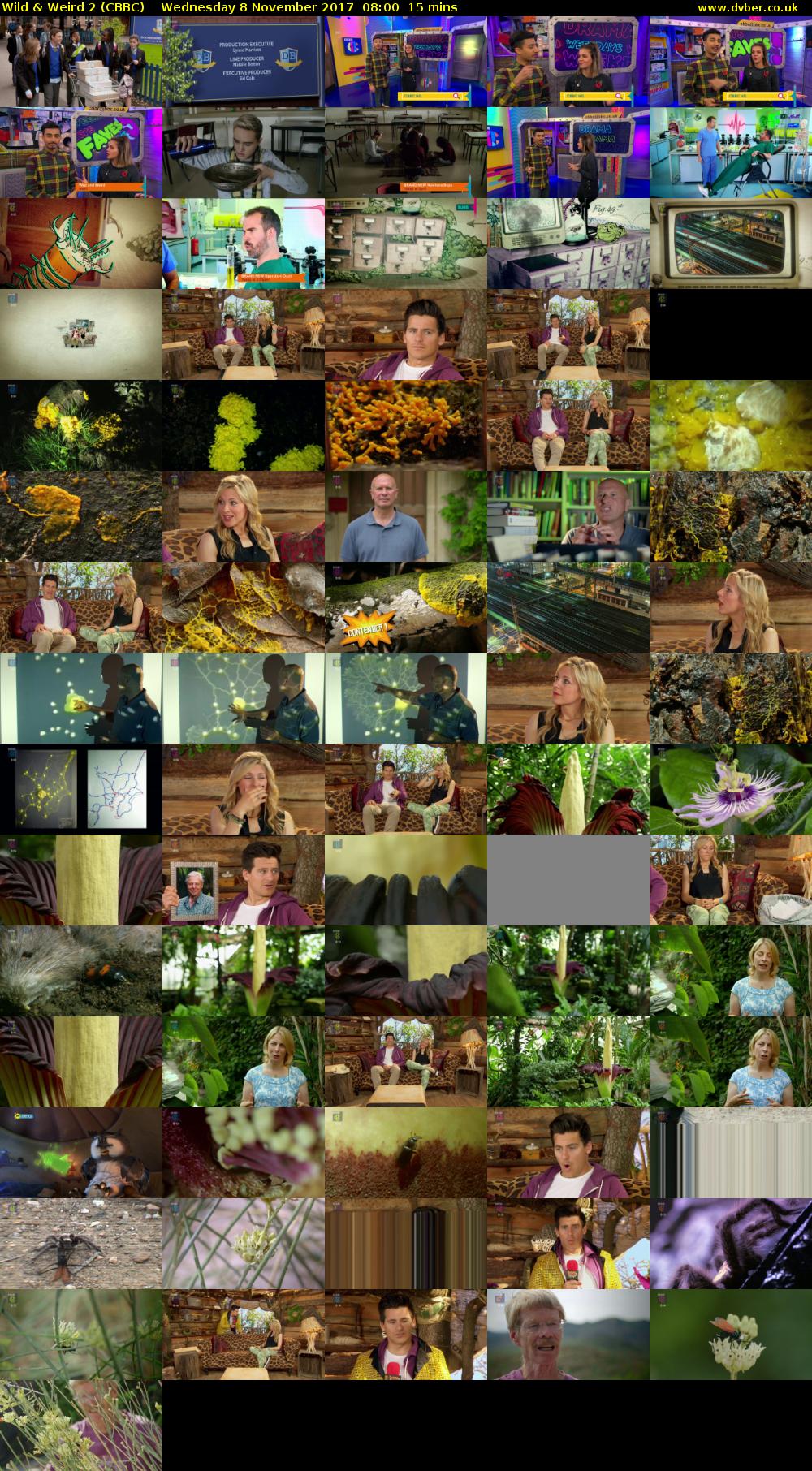Wild & Weird 2 (CBBC) Wednesday 8 November 2017 08:00 - 08:15