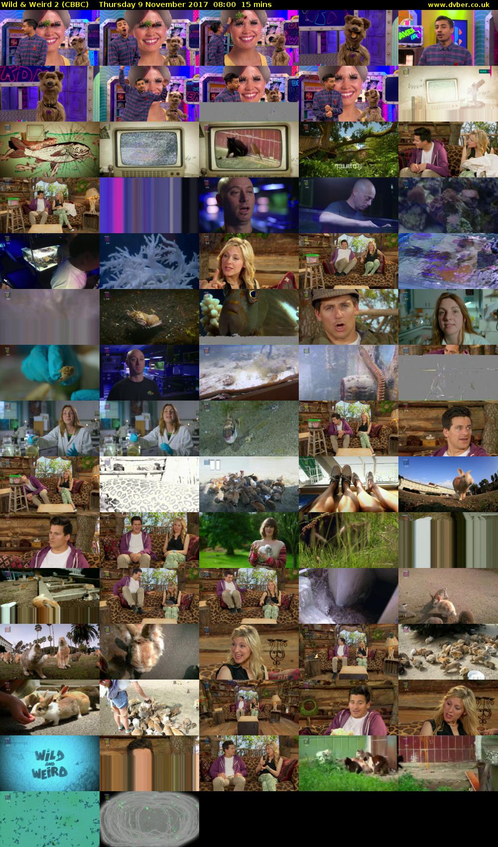 Wild & Weird 2 (CBBC) Thursday 9 November 2017 08:00 - 08:15