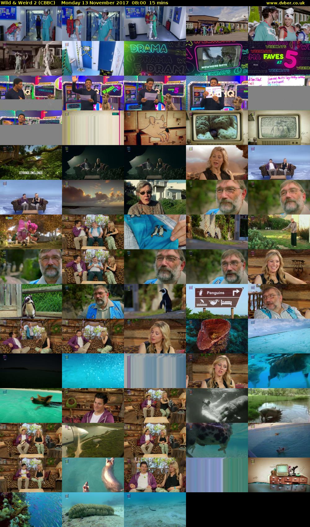 Wild & Weird 2 (CBBC) Monday 13 November 2017 08:00 - 08:15