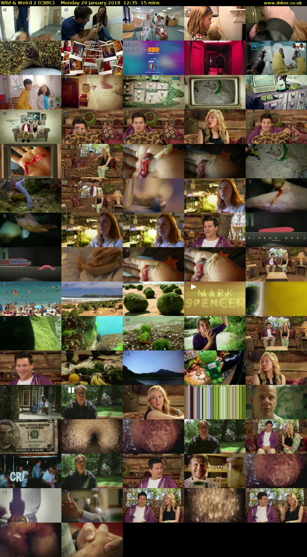 Wild & Weird 2 (CBBC) Monday 29 January 2018 12:35 - 12:50