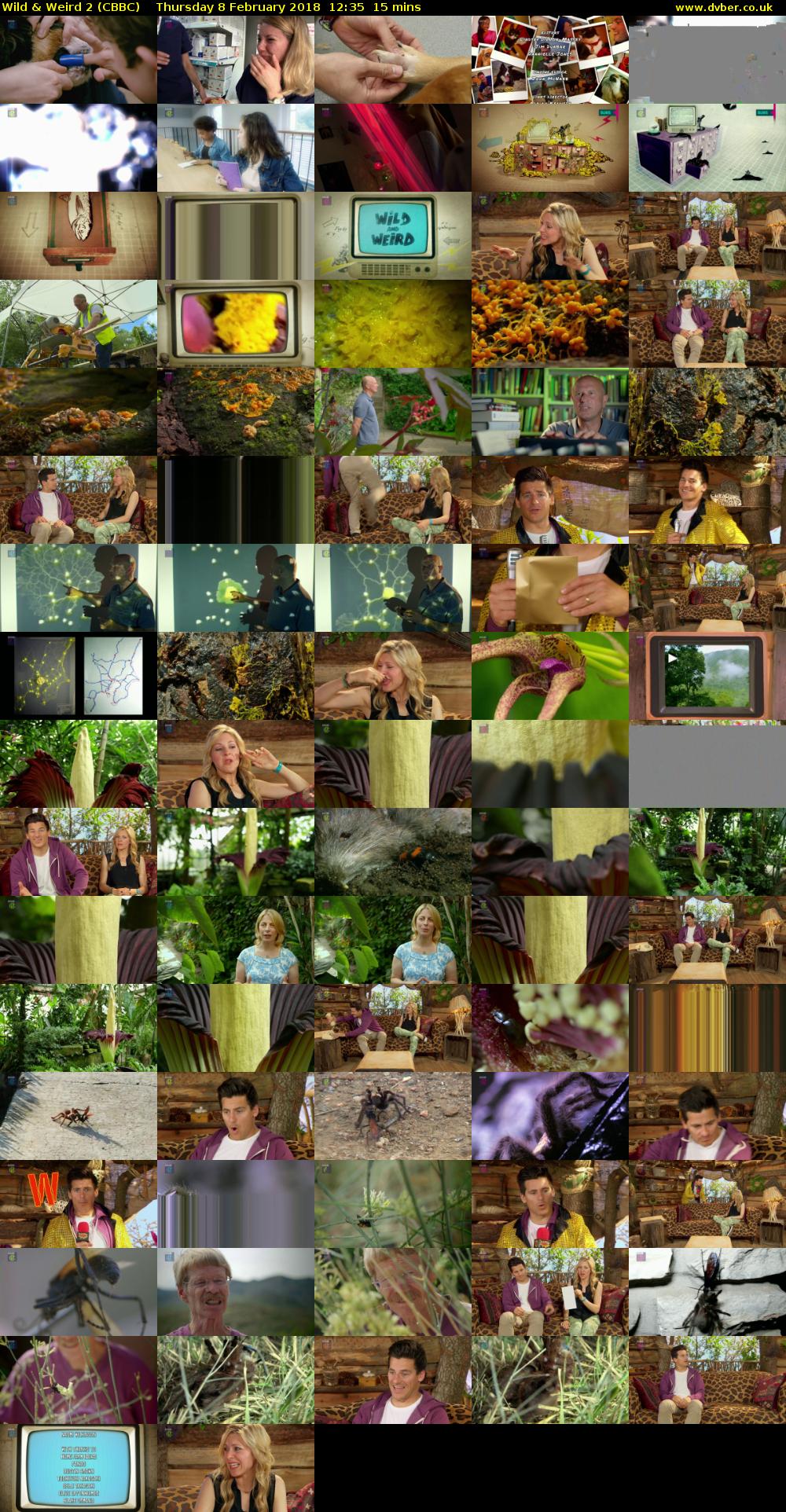 Wild & Weird 2 (CBBC) Thursday 8 February 2018 12:35 - 12:50