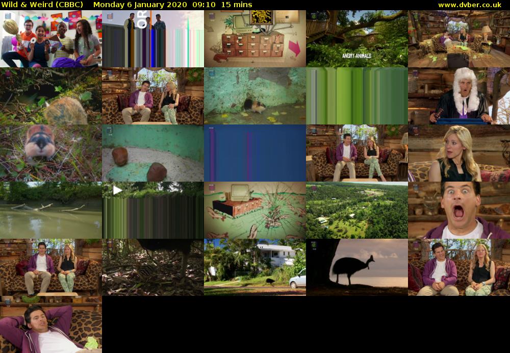 Wild & Weird (CBBC) Monday 6 January 2020 09:10 - 09:25