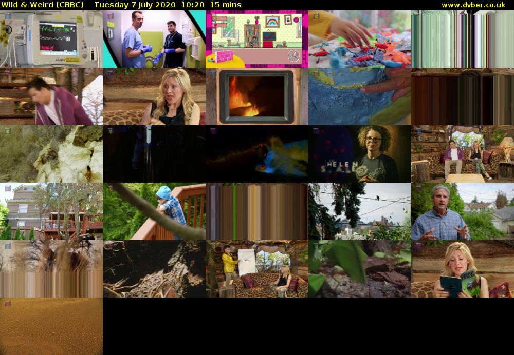 Wild & Weird (CBBC) Tuesday 7 July 2020 10:20 - 10:35
