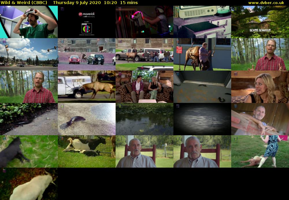 Wild & Weird (CBBC) Thursday 9 July 2020 10:20 - 10:35