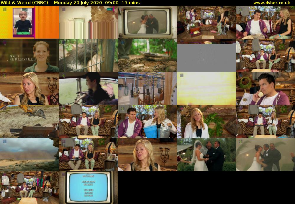 Wild & Weird (CBBC) Monday 20 July 2020 09:00 - 09:15