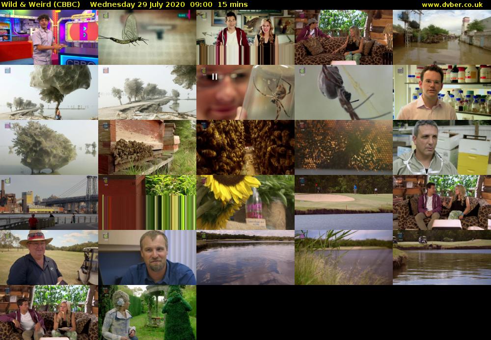 Wild & Weird (CBBC) Wednesday 29 July 2020 09:00 - 09:15
