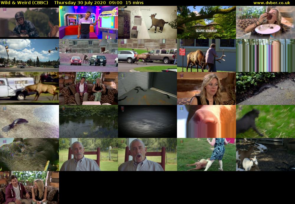 Wild & Weird (CBBC) Thursday 30 July 2020 09:00 - 09:15