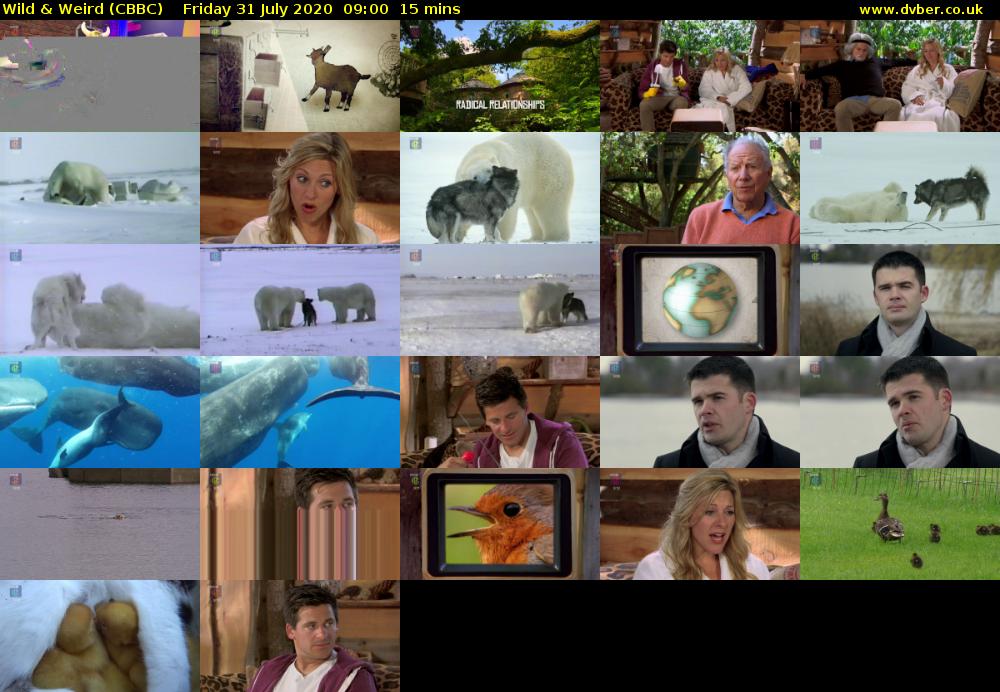 Wild & Weird (CBBC) Friday 31 July 2020 09:00 - 09:15