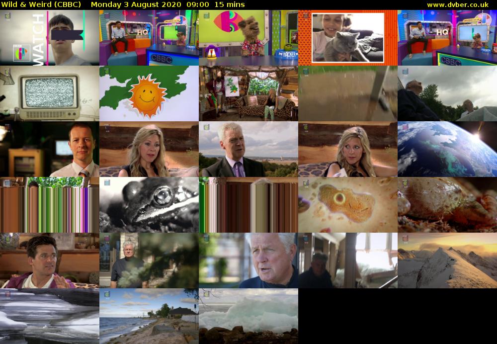 Wild & Weird (CBBC) Monday 3 August 2020 09:00 - 09:15