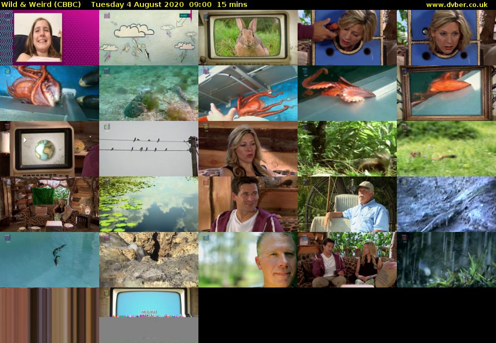 Wild & Weird (CBBC) Tuesday 4 August 2020 09:00 - 09:15