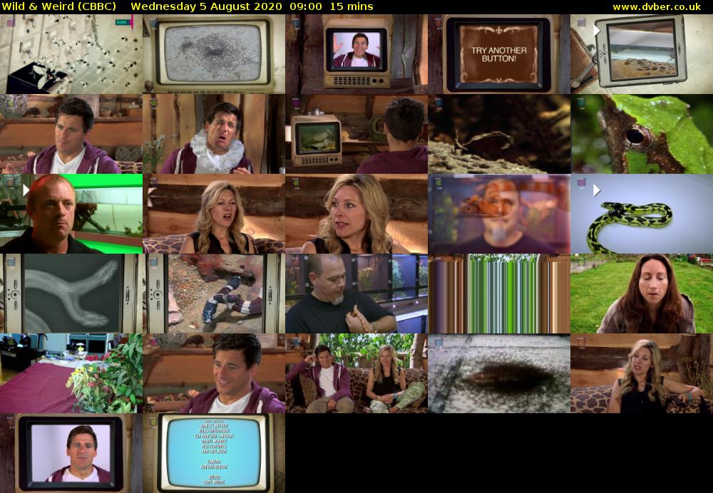 Wild & Weird (CBBC) Wednesday 5 August 2020 09:00 - 09:15