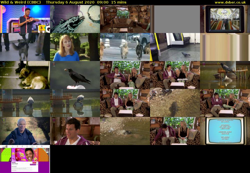 Wild & Weird (CBBC) Thursday 6 August 2020 09:00 - 09:15