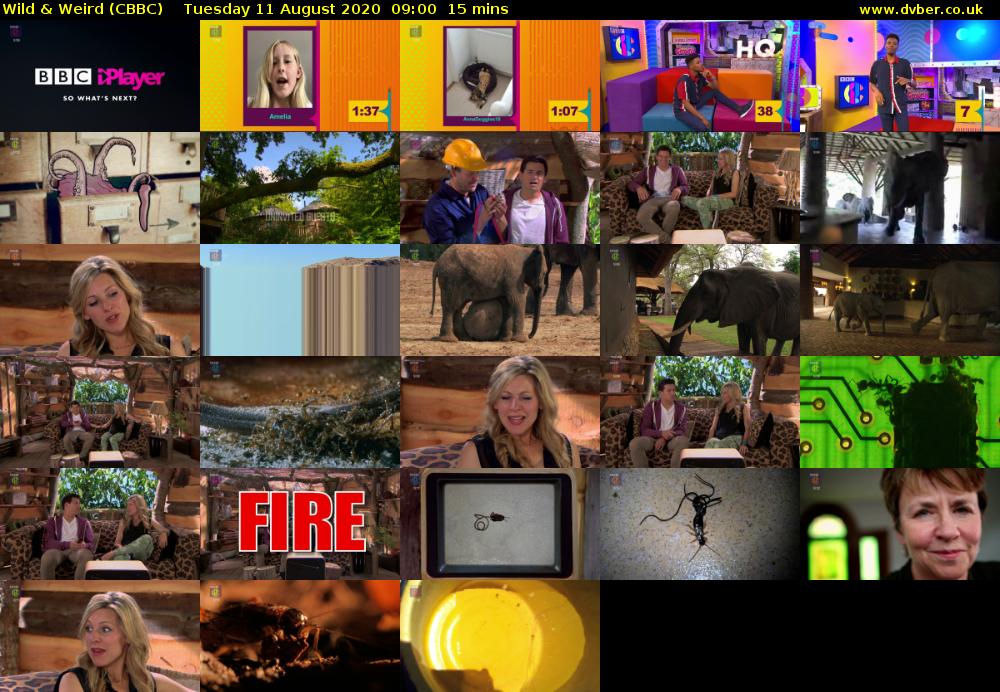 Wild & Weird (CBBC) Tuesday 11 August 2020 09:00 - 09:15