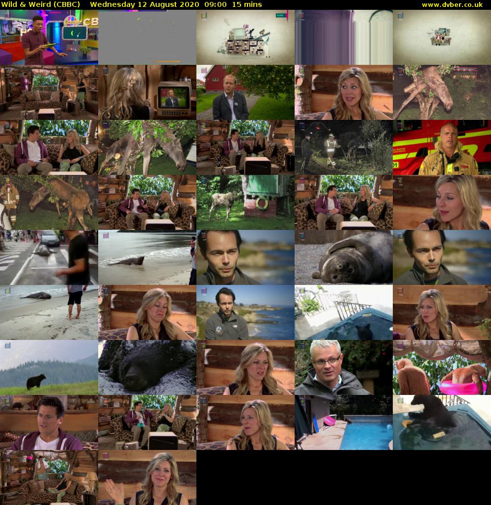 Wild & Weird (CBBC) Wednesday 12 August 2020 09:00 - 09:15