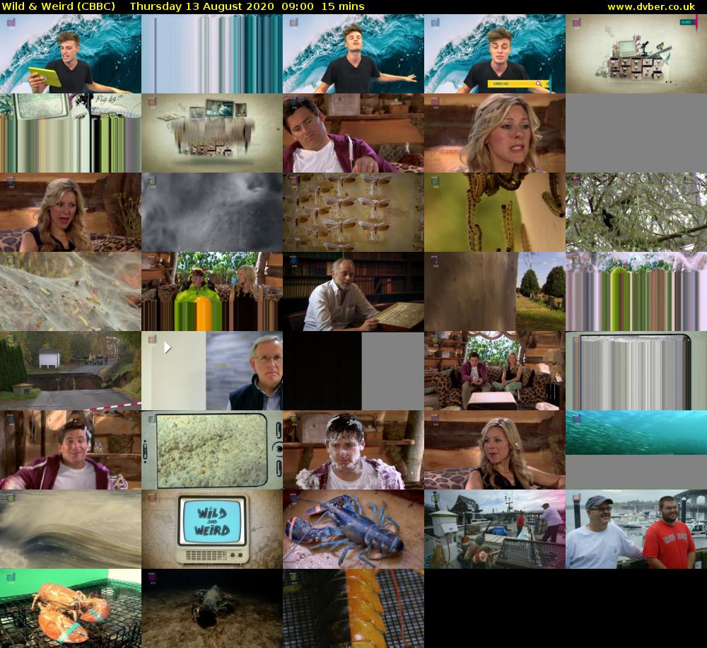 Wild & Weird (CBBC) Thursday 13 August 2020 09:00 - 09:15