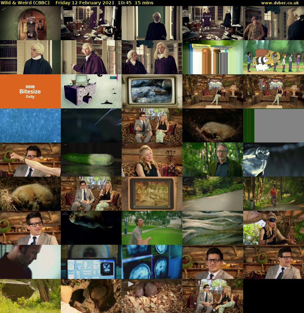 Wild & Weird (CBBC) Friday 12 February 2021 10:45 - 11:00