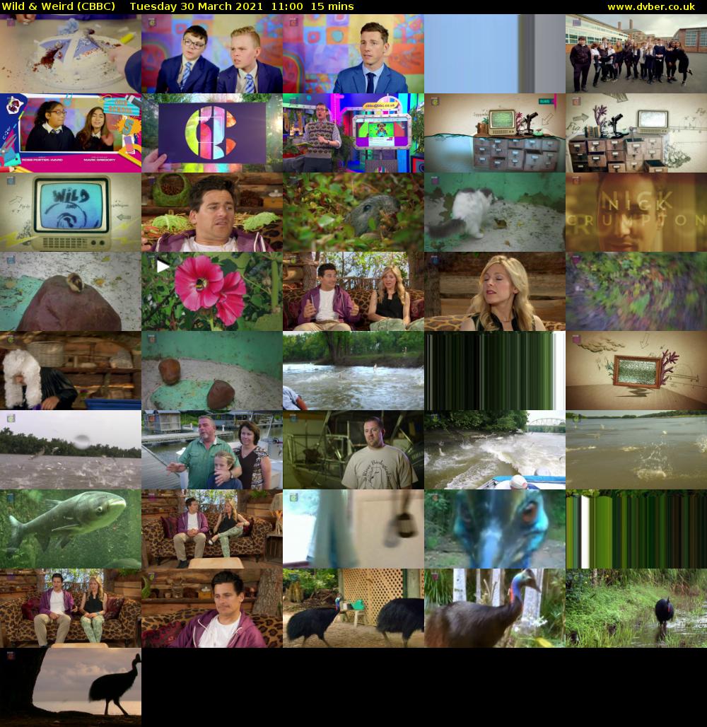 Wild & Weird (CBBC) Tuesday 30 March 2021 11:00 - 11:15