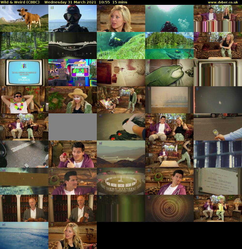 Wild & Weird (CBBC) Wednesday 31 March 2021 10:55 - 11:10
