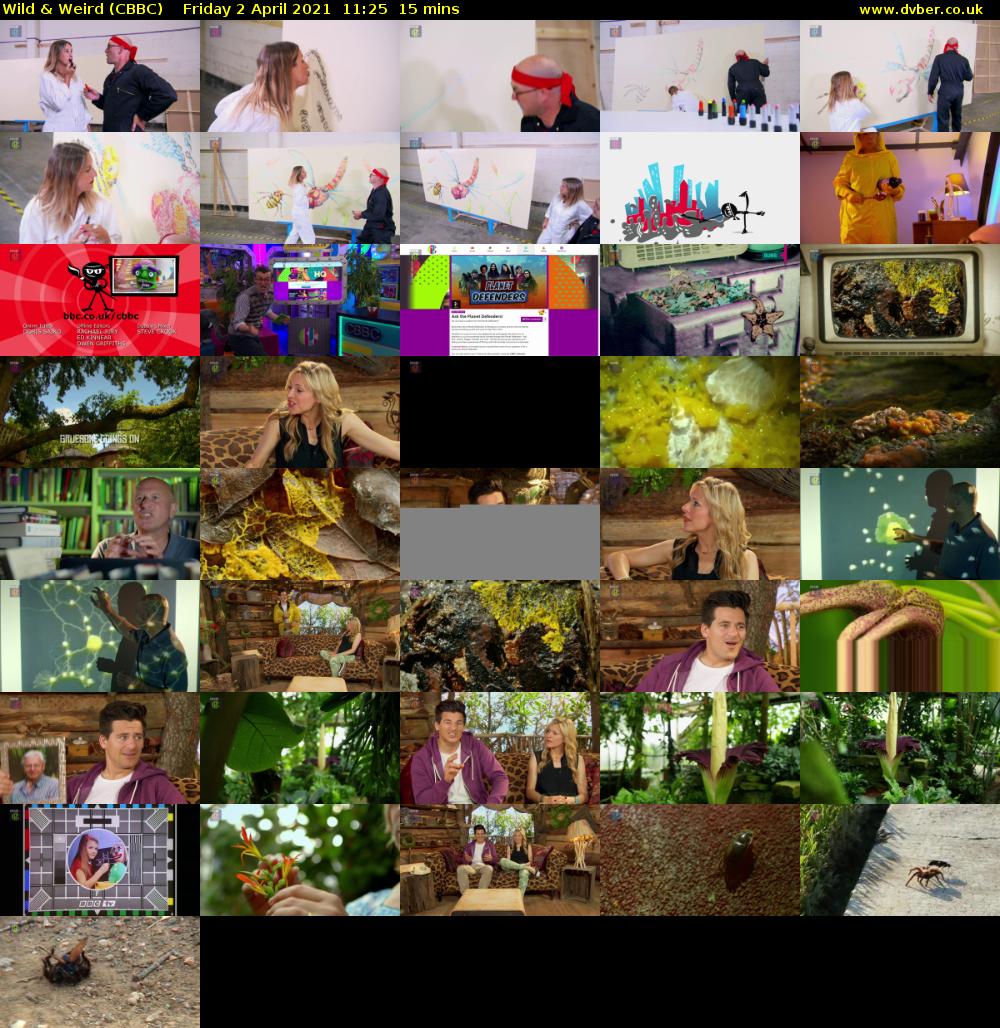 Wild & Weird (CBBC) Friday 2 April 2021 11:25 - 11:40