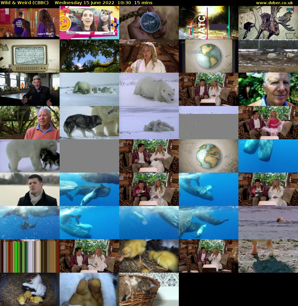 Wild & Weird (CBBC) Wednesday 15 June 2022 10:30 - 10:45