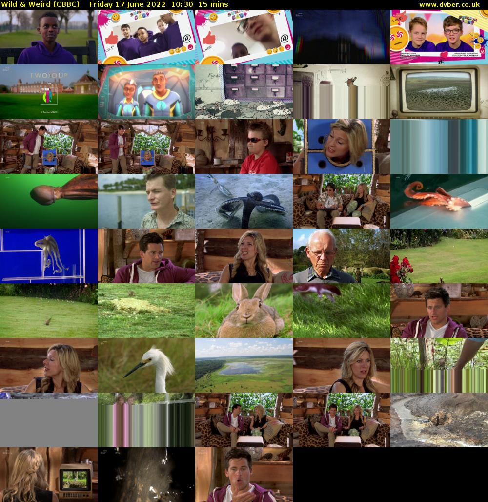 Wild & Weird (CBBC) Friday 17 June 2022 10:30 - 10:45